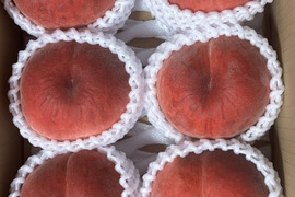 【常温便】※注意硬い桃です※　昨年大好評のとっても硬い桃🍑『おどろき』２Kg箱入り　６個から８個入り