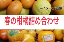 3月）春爛漫よくばりセット