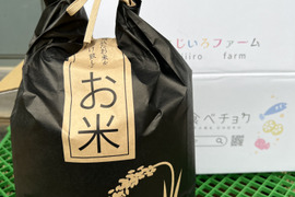 令和8年産新米】千葉市産コシヒカリ 無洗米4.5kg：千葉県産の