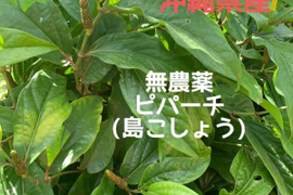 【数量限定】沖縄県産ヒハツ(胡椒)250g