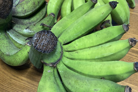 【自然栽培】訳あり島バナナ（小笠原種）