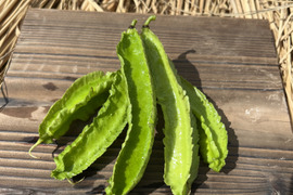 熱帯野菜の四角豆(200g)