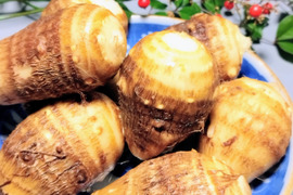 農薬不使用　トロリもっちり里芋　原っぱ農園の在来里芋4.5キロ　蔵王町在来里芋