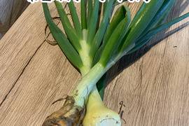 奥出雲産自然栽培旬の野菜(3品)