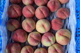 家庭用あかつき桃朝どり直送便3kg(10〜14玉入り)