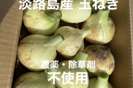 【小玉】農薬、除草剤不使用！淡路島玉ねぎ3kg 【生で食べてみて！】加熱だけじゃもったいない。サラダでも美味しい淡路島の完熟玉ねぎ。