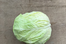 【お試しサイズ】初夏のキャベツ