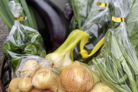 【今だけ】野菜増量🎁驚きの甘さ！生で食べたい新玉ねぎ＆新鮮野菜セット🧅🥗🥬🥦