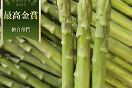 ＜2027予約受付中＞山育ち！柔らかな春芽のアスパラ（ミックスサイズ）
