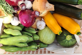 【農薬化学肥料不使用】旬の野菜セット(80サイズ)5品