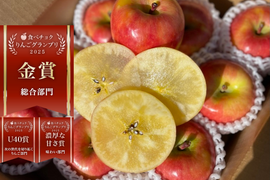 🏆2025年りんごGP金賞受賞🎊青森県産りんご　蜜たっぷり葉とらず高徳　贈答用【3㎏　9～12個入り】