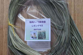 爽やかな香りのレモングラス一束ドライハーブ50g