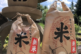 白米🌾4.5kg 令和5年度 兵庫県丹波産コシヒカリ  甘い！！冷めてもおいしいごはん🍚(玄米5kgを精米)