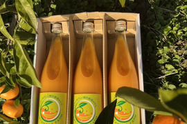 【濃厚糖度13度】飲み比べ3本セット 【田口】【宮川】【きゅうき】【丹生系】特別栽培で育てたからだにやさしい有田みかんジュース100％