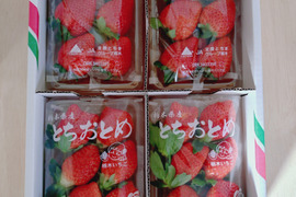 完熟とちあいかととちおとめの食べ比べセット
【いちご食べ比べ】
