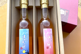 甘辛梅酒　300ml ２本セット【ギフト】