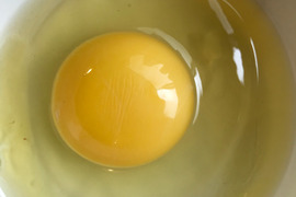 限定販売✨菊池の平飼い有精卵🥚
あっさり美味しい！！（２０個入り）✨