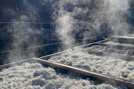 綱元漁師のシラス定期便