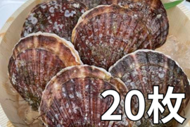 旨くてあまい！3年貝野辺地ホタテ！20枚