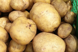 じゃがいも 10kgの通販｜食べチョク｜産地直送(産直)お取り寄せ通販