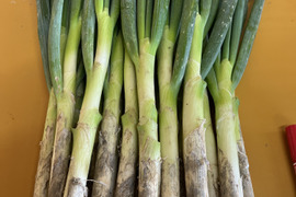 【限定】旬の味！！！深谷蜜ねぎ10キロ（訳あり品）