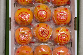 甘い甘い冷蔵柿『富有柿』5kg Mサイズ（約24玉）｜ご家庭用にも 【冬ギフト】 にもぴったり！