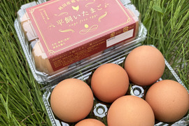 出品記念価格　国内流通約5％　純国産鶏「もみじ」が産む大和高原の平飼い卵　30個