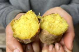 熊本県産オーガニックさつまいも！べにはるか【ねっとり蜜が溢れる濃厚な甘さ】（3kg）焼き芋がまるでスイートポテト！