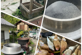 【期間限定販売】【麻績古都】麻炭卵10個入り+割れ保証2個付き　平飼い・放し飼い