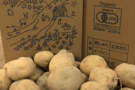 人気沸騰ブラドン 有機栽培：期間限定】 ジャガイモ8kg+玉ねぎ8㎏+人参3kg：北海道 野菜