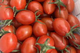 フルーツミニトマトあぽろんアイコ  1kg