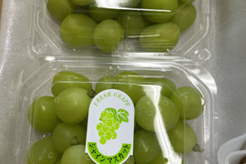 シャインマスカット 2パック 糖度１８度越え 皮ごとガブっと 秋田県産 ハロウィン お菓子 ケーキ プレゼント 誕生日  家庭用