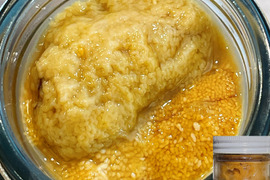北三陸田野畑産　特製甘塩ウニ　1本