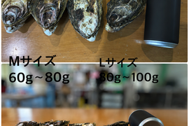 【生食可能】兵庫県相生産Mサイズ10個(Mサイズ：60～80ｇ)　夏に食べる真牡蠣