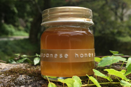 日本蜜蜂のハチミツ　　　　　　　　
　　【花粉蜜/50g】【天然】