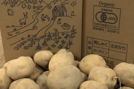 【予約受付中】ビタミンC豊富な　有機栽培ジャガイモ　北あかり！（５kg）