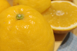 河内晩柑🍊『ご家庭用』8kg(箱込)