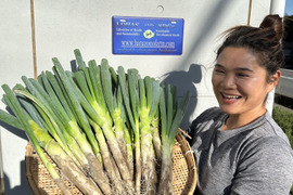 大容量！！深谷ネギ！泥付、使いやすいサイズ色々！「甘ーい蜜入り甘露ねぎ」 10kg