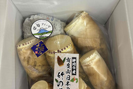 ２０２６年度収穫分・静岡市産！有度山日本平竹の子『極み』1ｋｇ