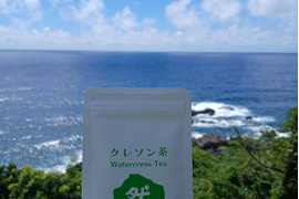 屋久島の湧水育ち！栄養素密度の最強野菜を日常に『屋久然クレソン100％パウダー』お得なパウチ15g