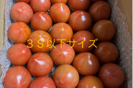 昔ながらのトマト🍅80サイズ箱詰め(3S以下玉)