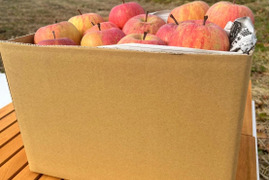 🍐ラ・フランス、ふじりんご🍎　ご家庭用　約５ｋｇ（１２～２５玉）