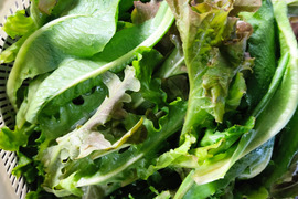 ✨農薬・化成肥料不使用のサラダセット（ミニ大根2本+ミックスレタス200g+わさびリーフ200g）✨