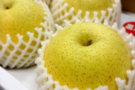 【幻の梨⁉️かおり梨】贈答用約2.2kg(大玉2-4個入)✨️メロンのような甘い香りがとってもフルーティー✨甘くてシャキシャキ。キメ細か✨️豊水にも負けない果汁量💦