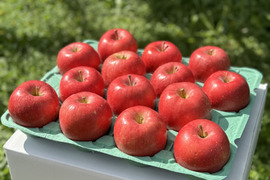 權之丞farmへのレビュー・商品：青森県｜食べチョク｜産地直送