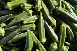 【朝採れ新鮮‼️鹿児島・指宿産オクラ（正品）】100本入り