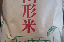 令和7年山形県産「はえぬき」5ｋｇ玄米