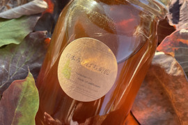 市場流通１％未満!　熊本北部山麓で採れた日本みつばち蜂蜜６００ｇ