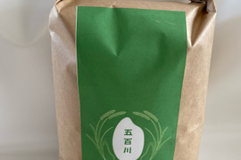 令和7年産　福島県産　五百川
