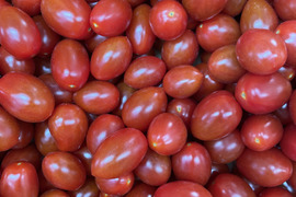 『フラガール』栃木県産　約1.9kg（大きさ不揃い）